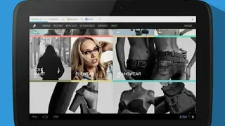 Frost Incognito Browser screenshot