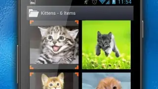 Frost Incognito Browser screenshot