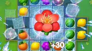 Fruit Fancy screenshot
