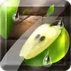 Fruit Slice