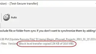 FTP Synchronizer screenshot