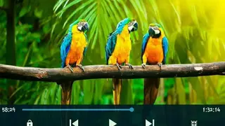 Full HD Video Player screenshot