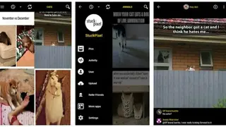 Funny Pics screenshot