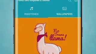 Funny SMS Ringtones & Sounds screenshot