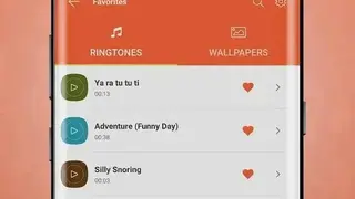 Funny SMS Ringtones & Sounds screenshot