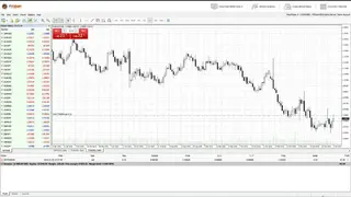 FXOpen screenshot