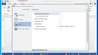 Gadwin PrintScreen screenshot