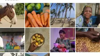 Gallery Go by Google screenshot