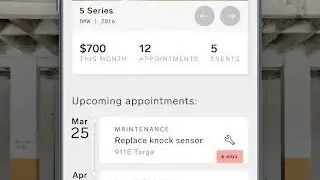 Gapless Car History screenshot