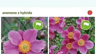 Garden Answers screenshot