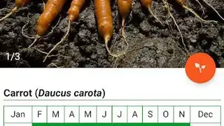 Gardenate screenshot