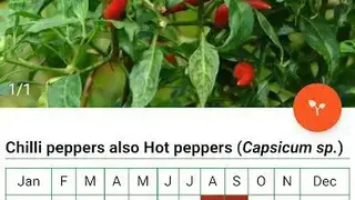 Gardenate screenshot
