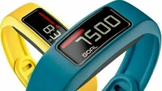 Garmin Vivofit 2 screenshot