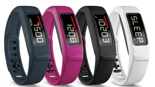 Garmin Vivofit 2 screenshot