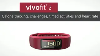 Garmin Vivofit 2 screenshot