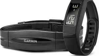 Garmin Vivofit 2 screenshot