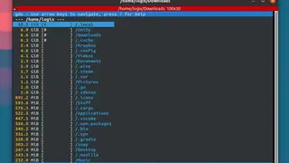 Gdu screenshot