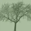 GenealogyJ