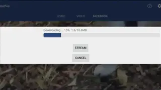 Getfvid screenshot