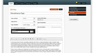 GetSimple CMS screenshot