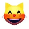 GIF Kitty