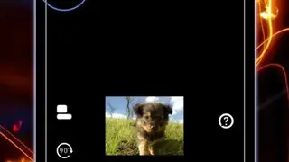 GIF Live Wallpaper screenshot