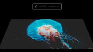 GIFCTRL screenshot