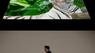 GIFCTRL screenshot