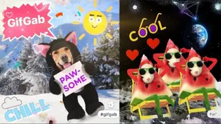 GifGab screenshot
