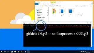 Gifsicle screenshot