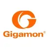 Gigamon