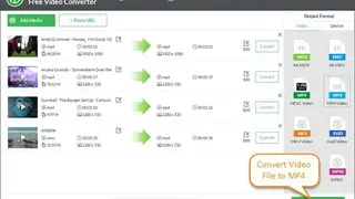 Gihosoft Video Converter screenshot