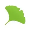 Gingko App