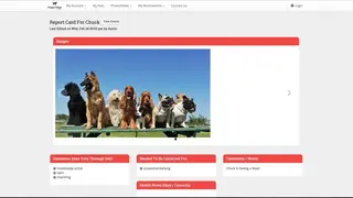 Gingr screenshot