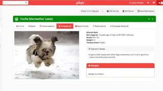 Gingr screenshot