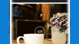 GIPHY GIF maker screenshot