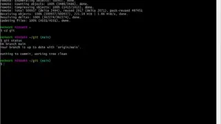 Git Bash screenshot