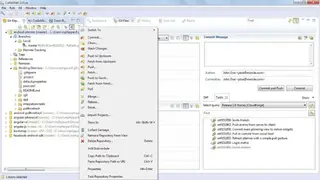 GitEye screenshot