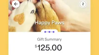 Givelify screenshot
