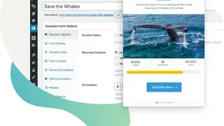 GiveWP screenshot