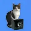 GizmoMarks