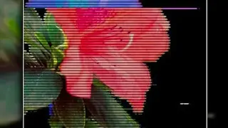 Glitch Wallpapers screenshot