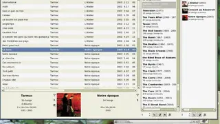 Gmusicbrowser screenshot