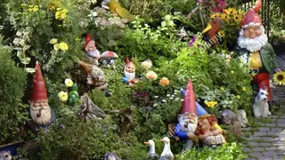 Gnomes Garden screenshot