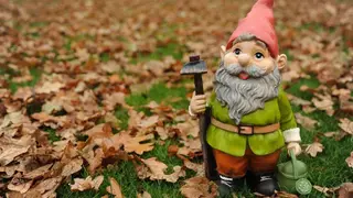 Gnomes Garden screenshot