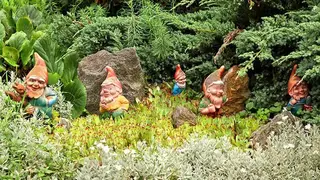 Gnomes Garden screenshot