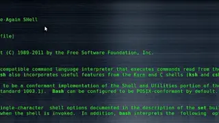 GNU Bourne Again SHell screenshot