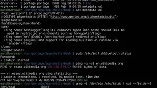 GNU Bourne Again SHell screenshot