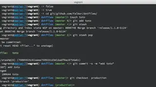 GNU Bourne Again SHell screenshot