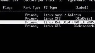 GNU fdisk screenshot